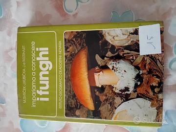 i funghi