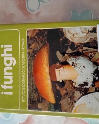 i funghi