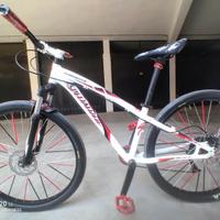 Specialized 27,5", Telaio 15", Whellie bike