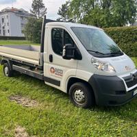Furgone Cassonato Citroen Jumper