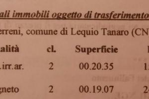 Terreno lequio tanaro