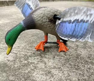 Anatra motorizzata (MOIO )