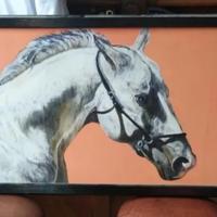 Quadro olio su tavola Cavallo bianco fondo arancio