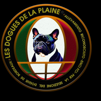 Bulldog francese pedigree enci