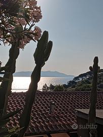 Villetta isola del giglio