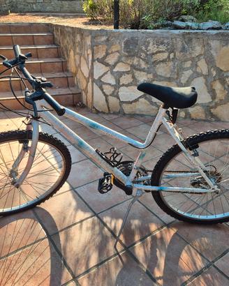 bicicletta donna