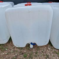 taniche da 1000 litri per acqua piovana giardino.