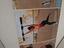 Immagine 2
