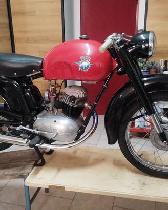 MV Agusta TR 125