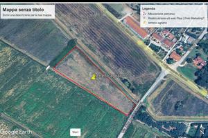 Vendita terreno agricolo