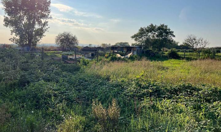 terreno agricolo di 1000 mq