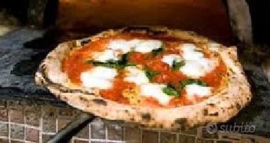 Rif r291 Pizzeria con cucina Modena