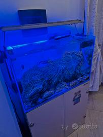 Acquario marino