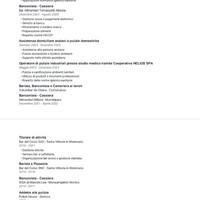 Operaia, pulizie, assistenza,negozi