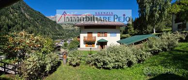 Attico/Mansarda Peio [MANSARDA] (Cogolo)