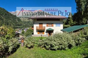 Attico/Mansarda Peio [MANSARDA] (Cogolo)