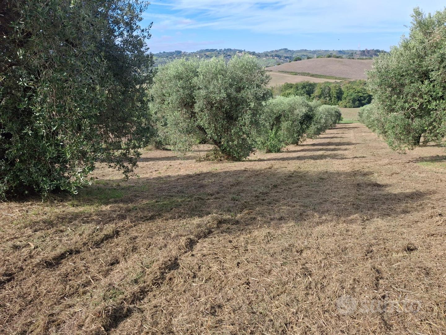 Terreno di 5 ettari anche edificabili - Vista 3