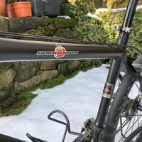 Biciletta Schwinn Homegrown