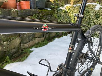 Biciletta Schwinn Homegrown