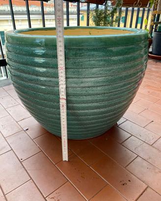 Coprivaso/Vaso