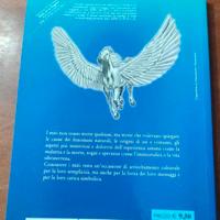Libro scuola media SULLE ALI DI PEGASO