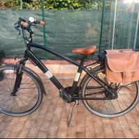 Bici pedalata assistita Viaveneto