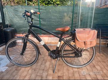 Bici pedalata assistita Viaveneto