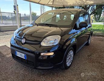 FIAT Panda 1.0 firefly hybrid s&s 70cv 5p.ti