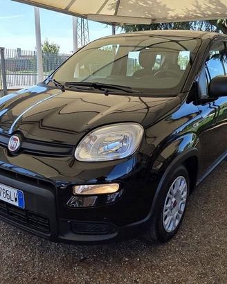 FIAT Panda 1.0 firefly hybrid s&s 70cv 5p.ti