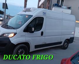 FIAT DUCATO FRIGO INCIDENTATA SINISTRATA MONDIALCA