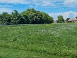Terreni potenzialmente edificabili