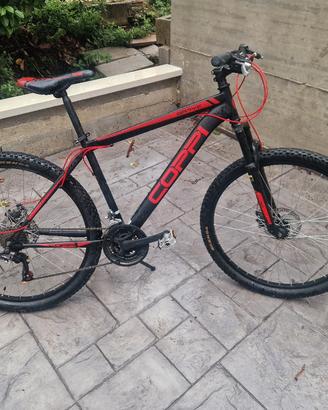 bici da adulto