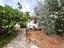 Immagine 12