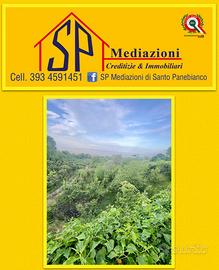 Terreno panoramico in produzione