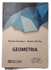 Libro Geometria Stefano Capparelli Alberto Del Fra