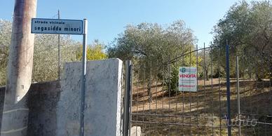 Segasidda minori Indipendente con terreno