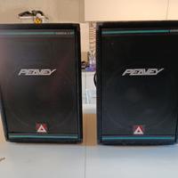 casse         PEAVEY