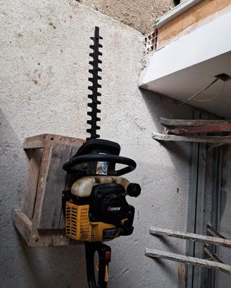 Tagliasiepi Hotecke