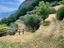 Immagine 25