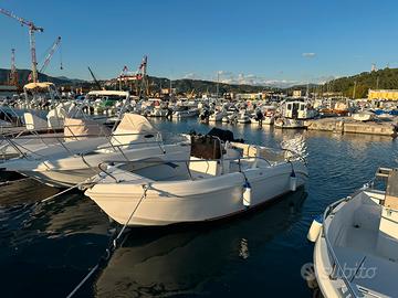 Barca - Marino Artemide 500 - 40 cv 4T