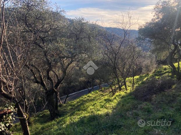 TER. AGRICOLO A CASTIGLIONE CHIAVARESE