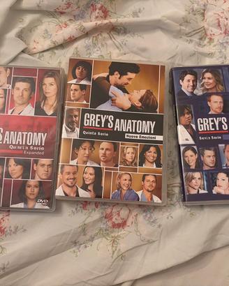 Grey ‘s anatomy