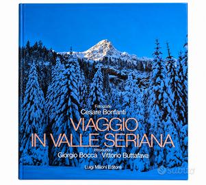 Viaggio in Valle Seriana – Cesare Bonfanti – Luigi