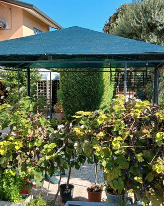 Gazebo ferro 3x3