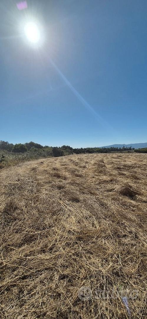 Terreno agricolo a Fenosu - Vista 3