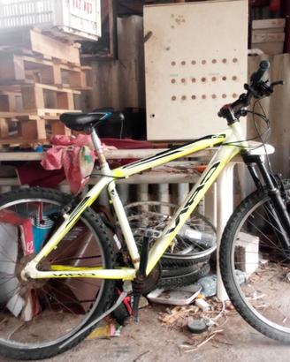 Bici carnielli