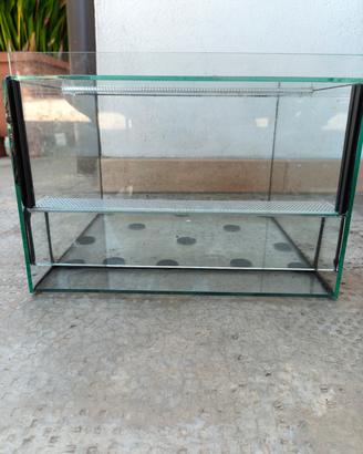 Terrario in vetro 30x30x20h