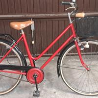 bicicletta ruota 26