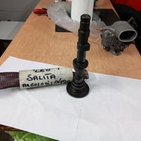 ALBERO A CAMME SPORTIVO