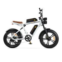 Bicicletta elettrica Engwe M20 - doppia batteria